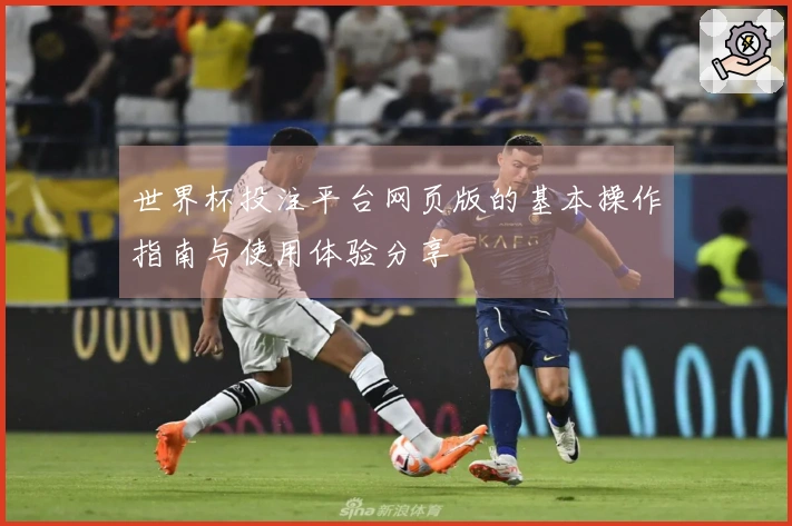 世界杯投注平台网页版的基本操作指南与使用体验分享
