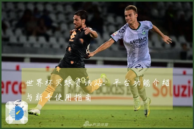 世界杯买球资讯站：平台功能介绍与新手使用指南