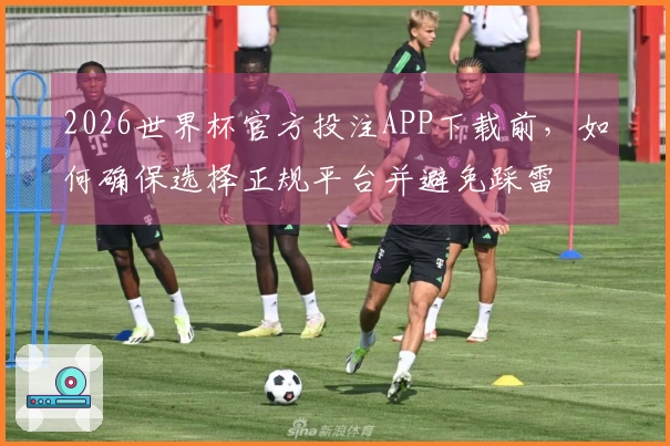 2026世界杯官方投注APP下载前，如何确保选择正规平台并避免踩雷