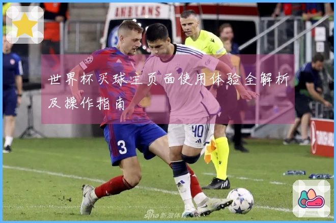 世界杯买球主页面使用体验全解析及操作指南