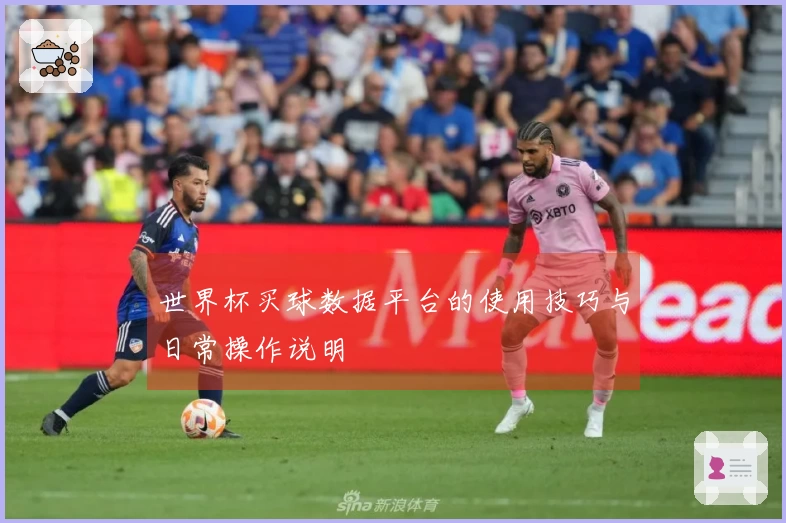 世界杯买球数据平台的使用技巧与日常操作说明