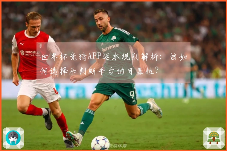 世界杯竞猜APP返水规则解析：该如何选择和判断平台的可靠性？