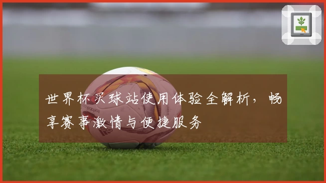 世界杯买球站使用体验全解析，畅享赛事激情与便捷服务