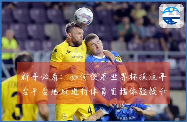 新手必看：如何使用世界杯投注平台平台地址进行体育直播体验提升