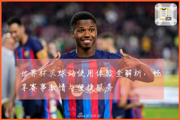 世界杯买球站使用体验全解析，畅享赛事激情与便捷服务