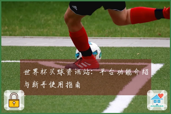 世界杯买球资讯站：平台功能介绍与新手使用指南