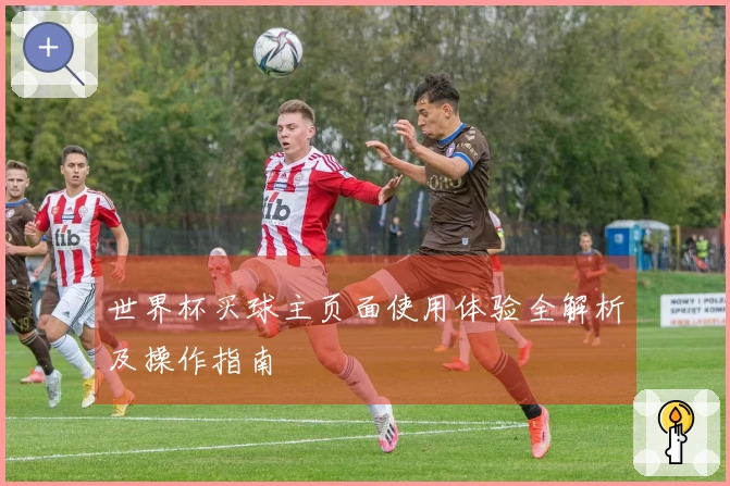 世界杯买球主页面使用体验全解析及操作指南