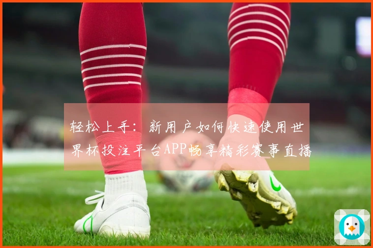 轻松上手：新用户如何快速使用世界杯投注平台APP畅享精彩赛事直播