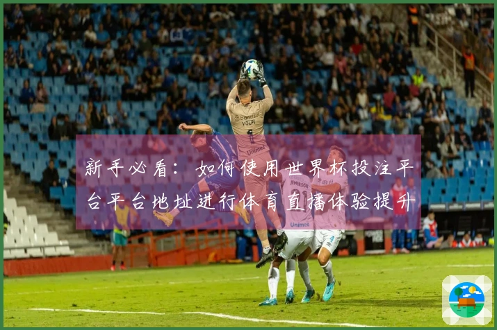 新手必看：如何使用世界杯投注平台平台地址进行体育直播体验提升